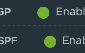 NSX-T 3.1.1 – How to configure OSPF on Tier-0 Gateway